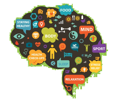 Wellness Begins @ The Workplace